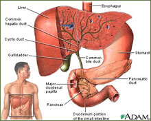 Bile duct strictures